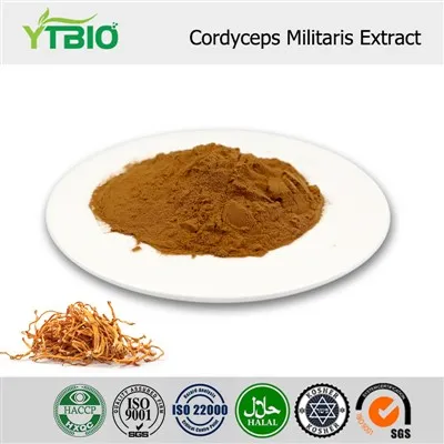 Cordyceps Militaris Extract Powder