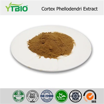 Cortex Phellodendri Extract