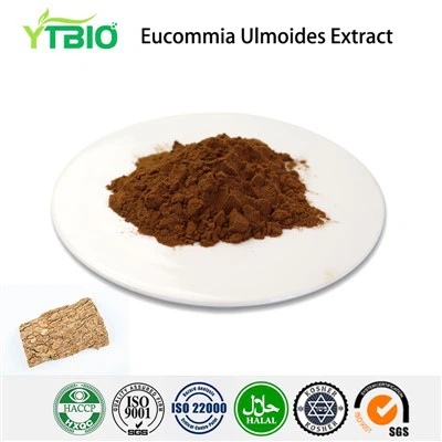 Eucommia Ulmoides Extract Powder