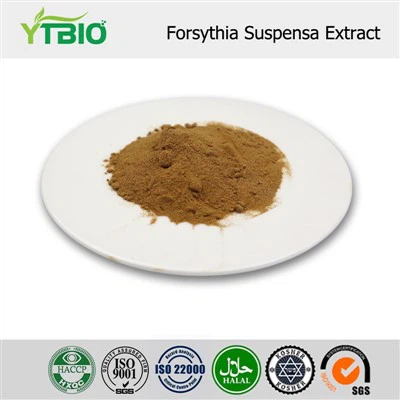 Forsythia Suspensa Extract