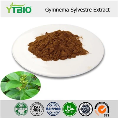 Gymnema Sylvestre Extract