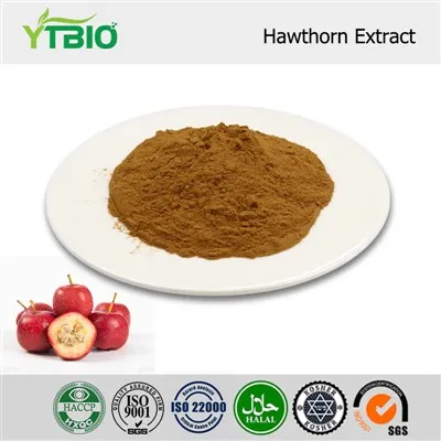 Hawthorn Berry Extract Powder