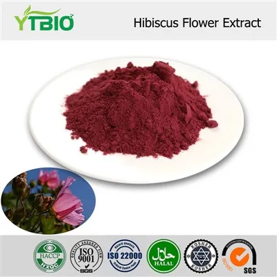 Hibiscus Flower Extract Powder