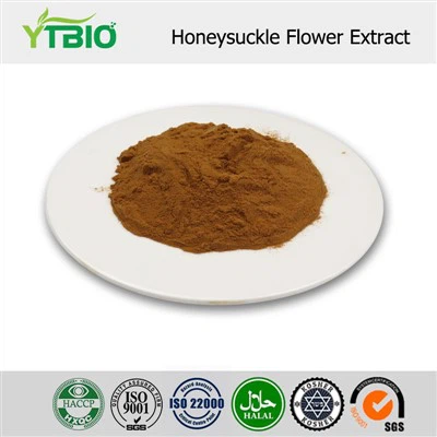 Honeysuckle Extract Powder