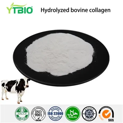 Hydrolyzed Bovine Collagen Powder