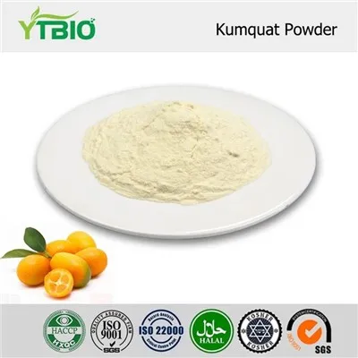 Kumquat Fruit Powder