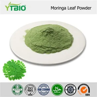 Moringa Leaf Extract Powder