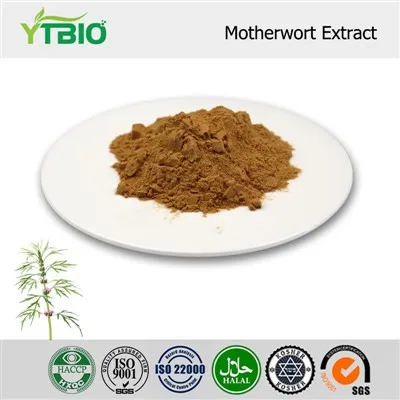 Motherwort Extract Powder