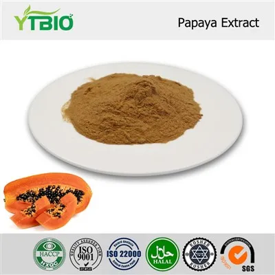 Papaya Extract Powder