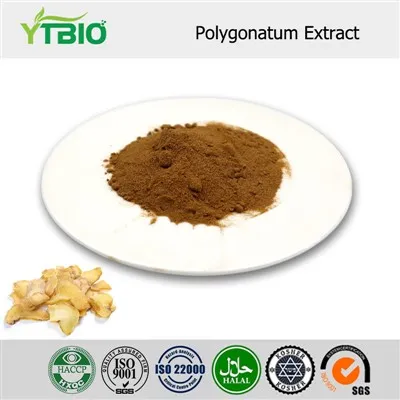 Polygonatum Extract