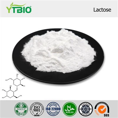 Pure Lactose Powder