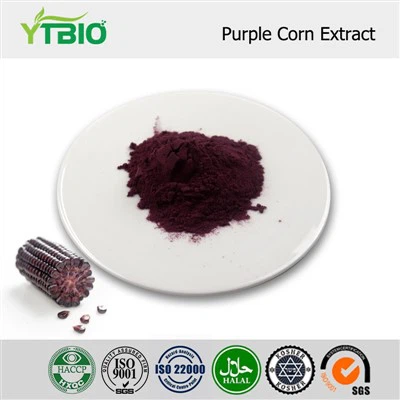 Purple Corn Extract Powder