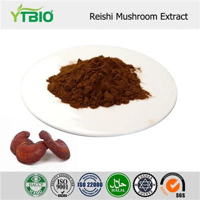 Reishi Extract Powder