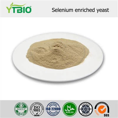 Selenium Enriched Yeast