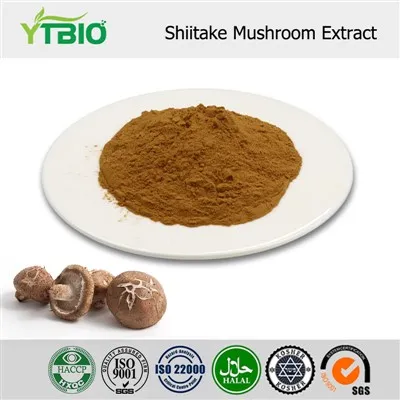 Shiitake Mushroom Extract Powder
