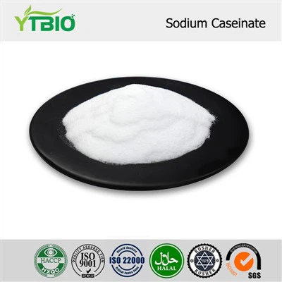 Sodium Caseinate Powder