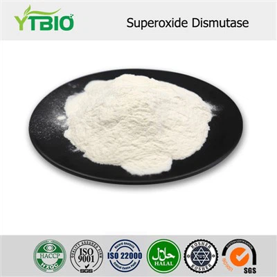 Superoxide Dismutase Powder