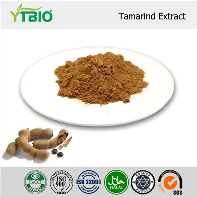 Tamarind Extract Powder