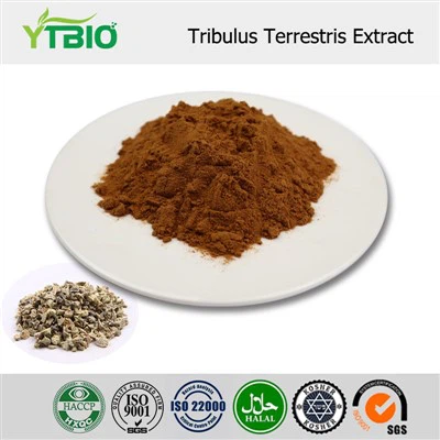 Tribulus Terrestris Extract Powder