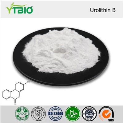 Urolithin B Powder