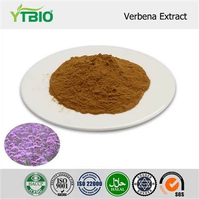 Verbena Extract