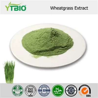 Wheatgrass Extract Powder