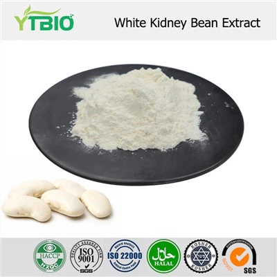 White Kidney Bean Extract Powder