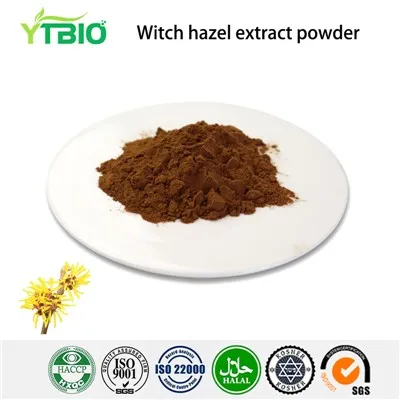 Witch Hazel Extract Powder