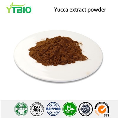 Yucca Extract Powder