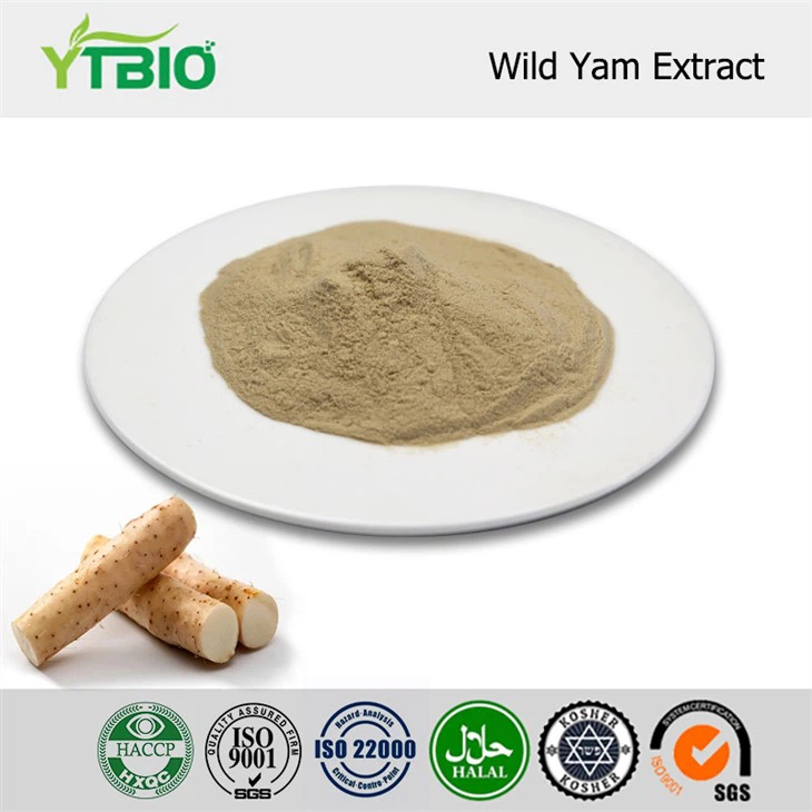Wild Yam Extract Powder