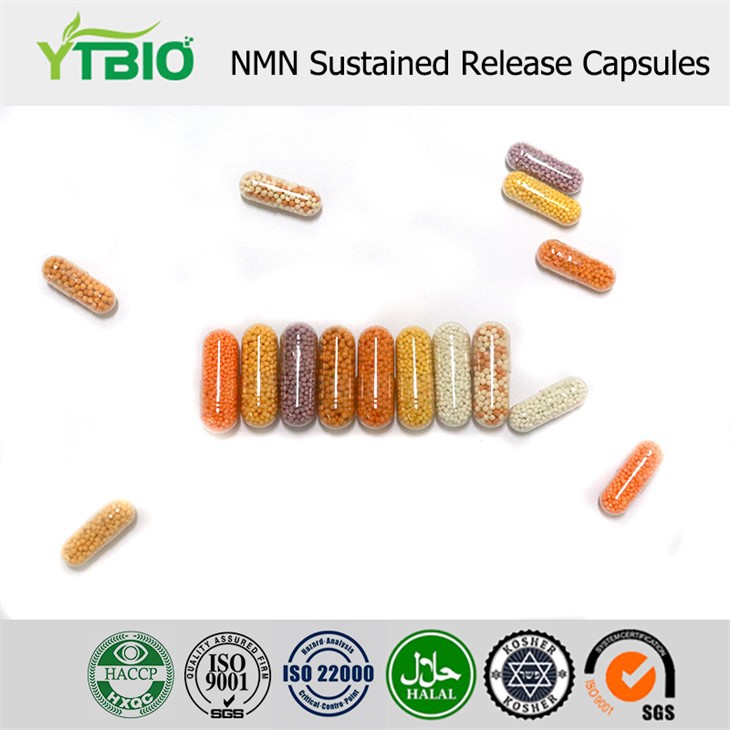 Sustained Release Capsules