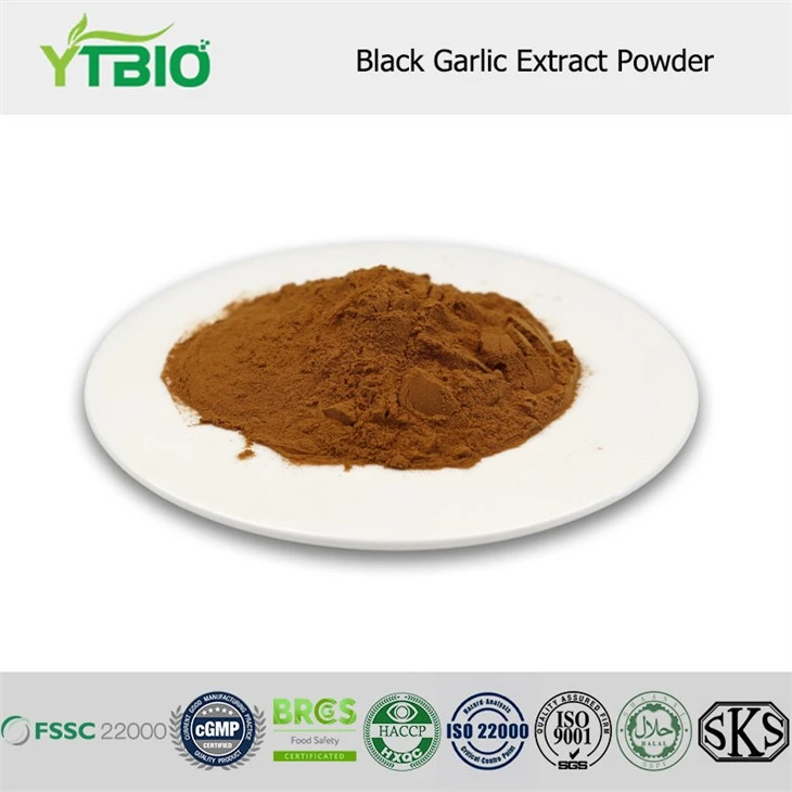 Black Garlic Extract Powder