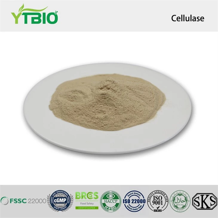 Cellulase