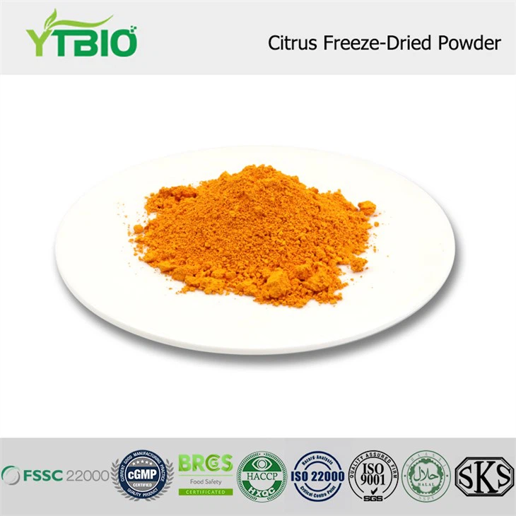 Citrus Freeze-Dried Powder