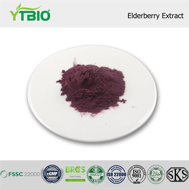 Elderberry Extract