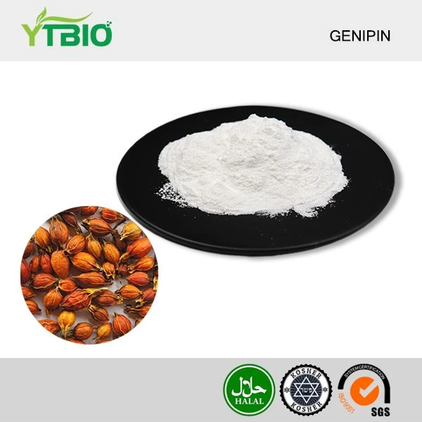 How does Genipin work against bacteria?