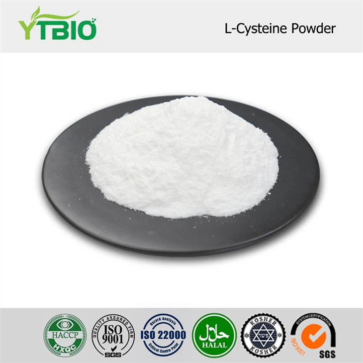 L-Cysteine Powder