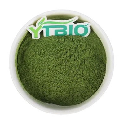 Kale Powder Benefits For Weight Loss And Gut Health