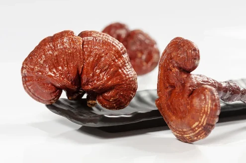 Ganoderma Lucidum Extract Ganoderma Lucidum Extract