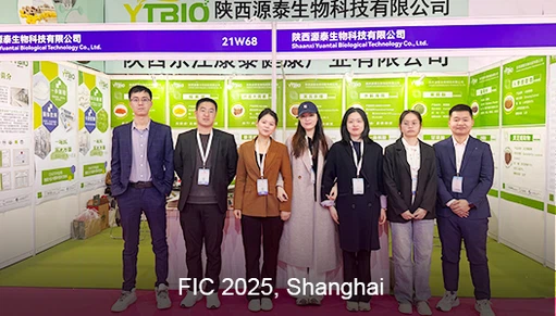 FIC2025Shanghai FIC2025Shanghai