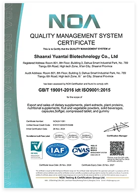 ISO-9001 ISO-9001