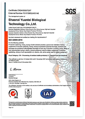 ISO22000 ISO22000