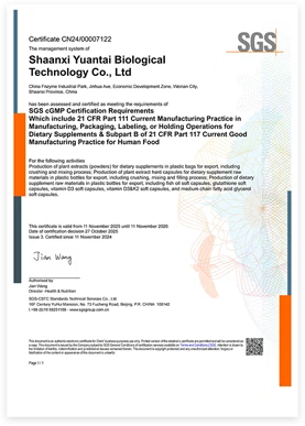 cGMP cGMP