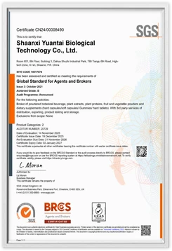certificate 01