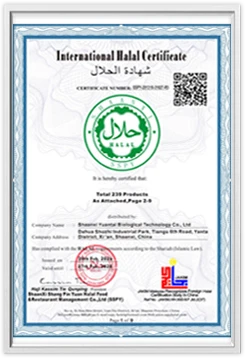 certificate 06