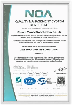 certificate 08
