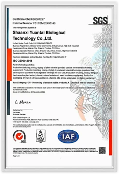certificate 07