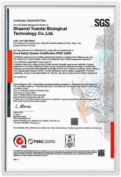 certificate 05