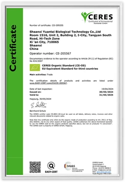 certificate 09