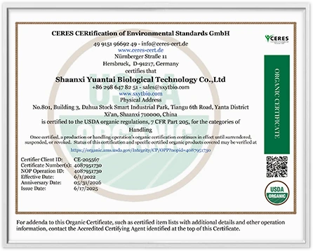 certificate 11